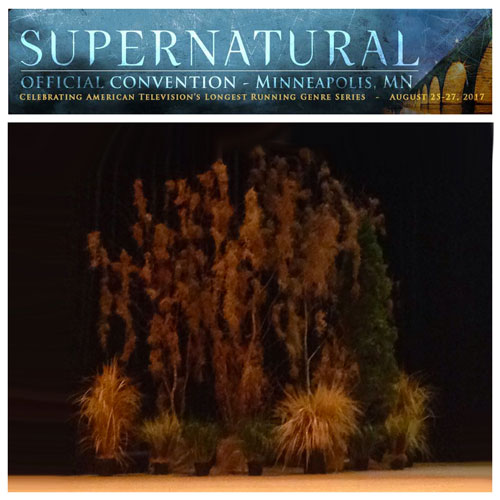 Supernatural Official Convention - Idea Gallery - rent an artificial woods